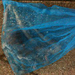 兵庫突堤 オクトパッシングでマダコゲット☆