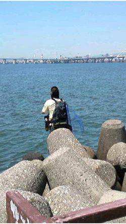 淀川河口　シーバス狙いにキビレがヒット！