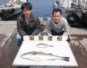 スズキ 75cmにマダイ！！黒島の筏