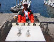 黒島の磯☆エギングでアオリ2ハイ