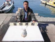 ヤエンで2.2キロでました♪　黒島の磯