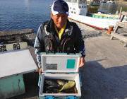 黒島の磯　アイゴが好釣60匹