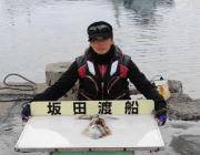 黒島の磯 ヤエンでアオリイカ〜1.6kg