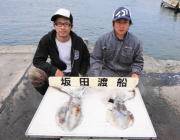 黒島の磯 ヤエンでアオリイカ〜1.6kg