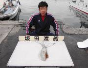 黒島の磯 ヤエンでアオリイカ〜1kgの釣果…