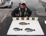 鷹島のカンドリ フカセでグレ・アイゴ・ガシ…