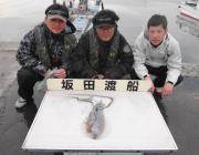 黒島の磯 ヤエンでアオリイカ〜1kgの釣果