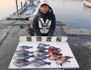 鷹島のカンドリ フカセでグレ・アイゴ・ガシラ