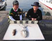 衣奈漁港 エギングでアオリイカのキロクラス狙える