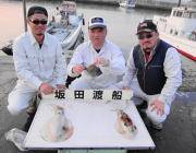 衣奈漁港 エギングでアオリイカのキロクラス…