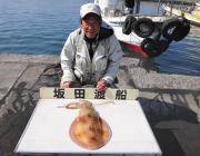 黒島の磯　ヤエンでアオリ2.5ｋｇ