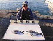 湾内の筏　もう少しで年なしでした！