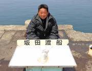 エギングで2キロクラスの釣果♪　黒島の磯