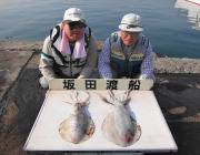 黒島の磯　夜釣りでアオリイカ2.3ｋｇ