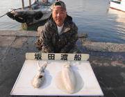 エギングで2キロクラスの釣果♪　黒島の磯