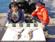 黒島の磯　エギングでキロＵＰ♪