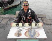 ヤエンでアオリイカ2.9ｋｇきました！ 黒…