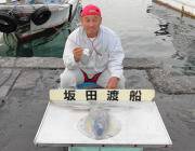 ヤエンでアオリイカ2.9ｋｇきました！ 黒島の磯