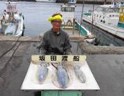 黒島の磯、ヤエン1.8kgまでのアオリ3杯…