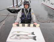 黒島の磯、ルアーで67・68cmのスズキを…