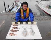 黒島の磯でのエギング釣果