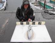 黒島の磯　ヤエンで2キロ級のアオリイカ！