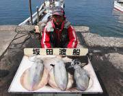 黒島の磯　ヤエンで2.5ｋｇのアオリイカ♪…