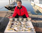 黒島の磯　アイゴ数釣り楽しめます