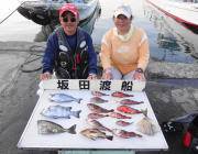 鷹島のカンドリにてグレ快釣！