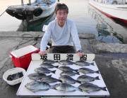 鷹島のカンドリにてグレ快釣！