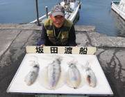 黒島の磯　ヤエンでアオリイカ～2.1kg