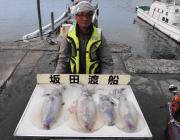 黒島の磯　ヤエンでアオリイカ～2.1kg