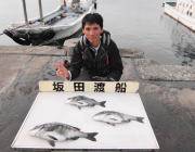 黒島の筏☆ナイスサイズのチヌ