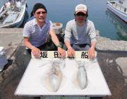 エギングとヤエンでアオリイカ　黒島の磯