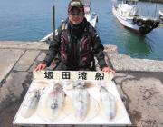 黒島の磯　ヤエンで2.2kgまでを4ハイ♪…