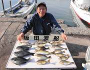 黒島の磯　アイゴ＆グレの釣果