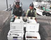 黒島の磯　アイゴでクーラー満タン