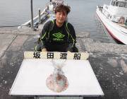 黒島の磯　エギングで1.5ｋｇのアオリイカ…