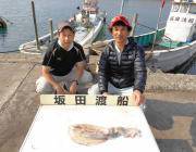 黒島の磯　ヤエンで2.3ｋｇのアオリイカ