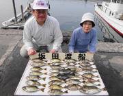 黒島の磯　アイゴとグレの釣果