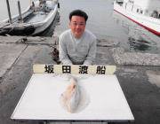 黒島の磯でのヤエン釣果