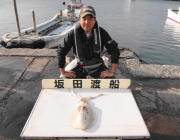 黒島の筏　ウキ釣りでキロＵＰのアオリイカ