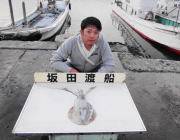 ナチュラルカラーのエギにのりました☆黒島の…