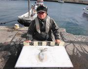 黒島の磯でのエギング釣果