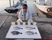 黒島の筏でチヌ・ウマヅラ・アイゴ　いずれも…