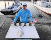 黒島の磯　パープルのエギで1.3ｋｇ