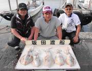 デカアオリ連発！ 黒島の磯のヤエン釣り