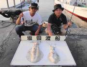 エギングで1.9ｋｇ♪　黒島の磯