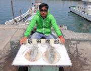 黒島の磯　ヤエンで良型アオリイカ