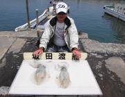 エギングでのアオリイカ釣況　黒島の筏＆磯